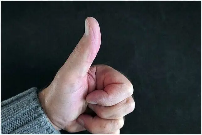 Driving Vs Vehicle shipping - Conclusion